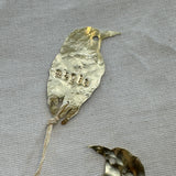 Momotus aequatorialis — Separador de libro Barranquero