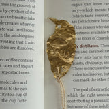 Momotus aequatorialis — Separador de libro Barranquero