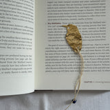 Momotus aequatorialis — Separador de libro Barranquero