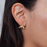 Topos Cola de Ballena