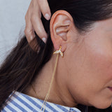 Topos Cola de Ballena