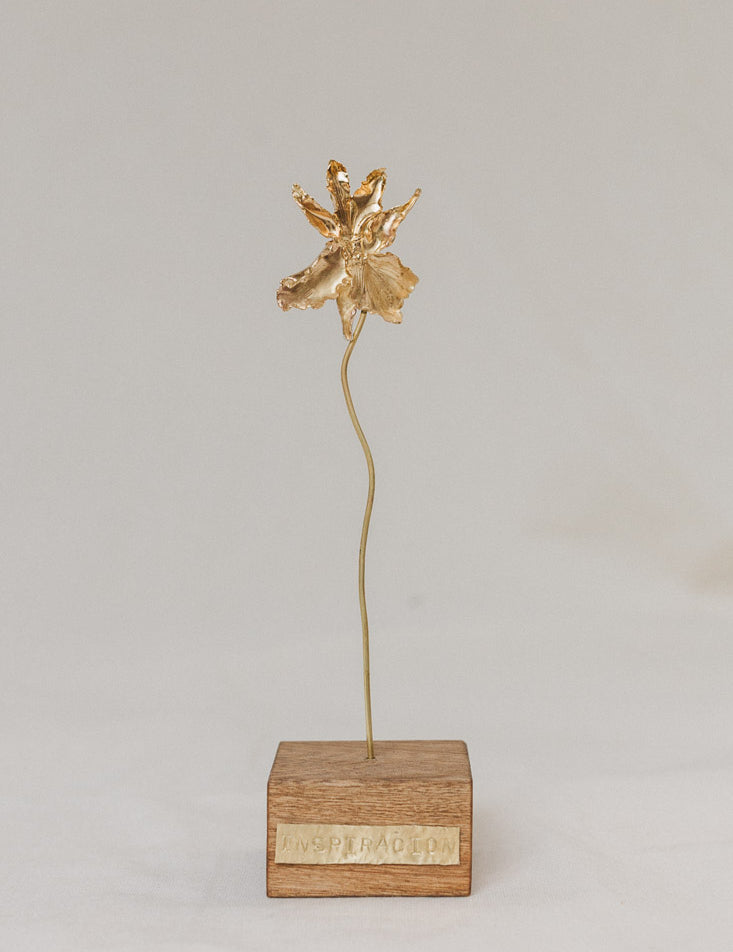 Escultura Orquídea Catleya