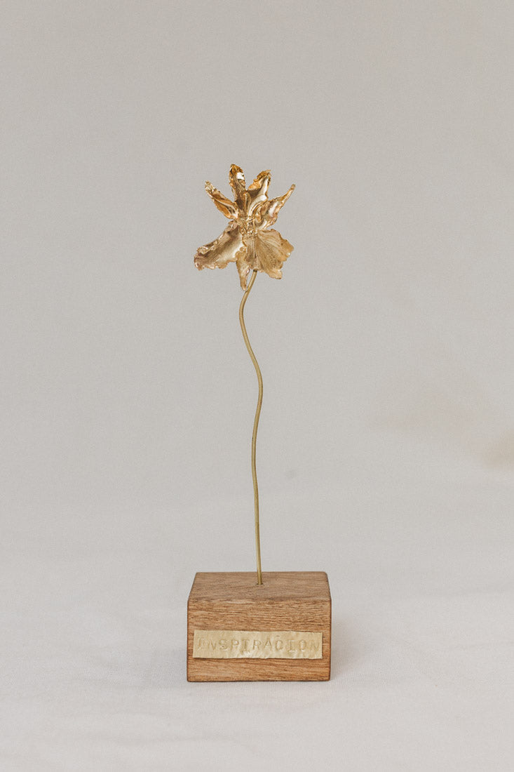 Escultura Orquídea Catleya