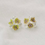 Aretes Galaxea Coral