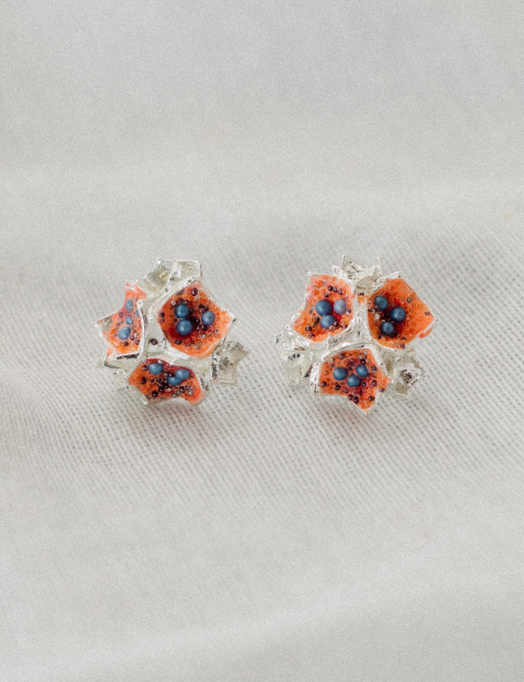 Aretes Galaxea Coral