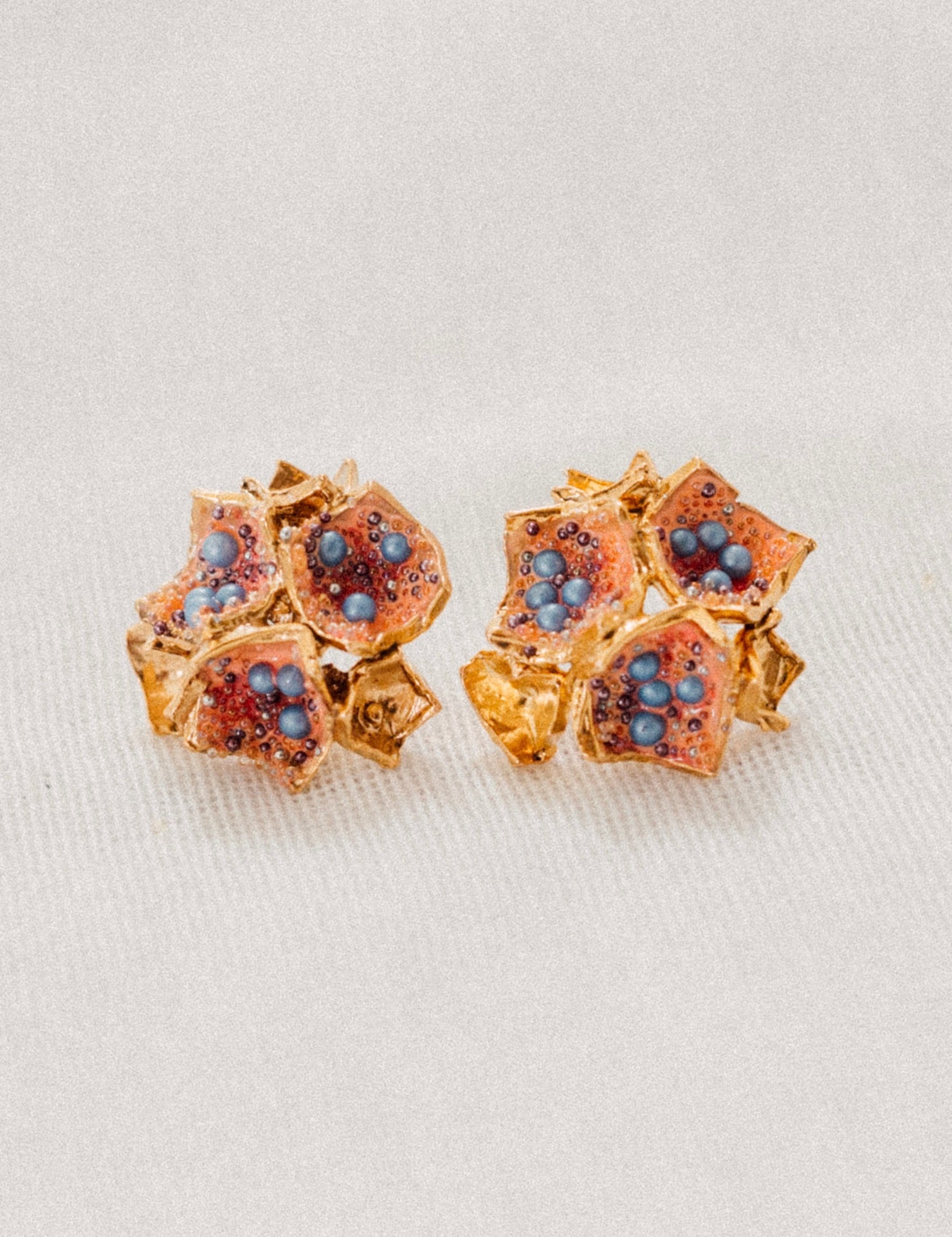 Aretes Galaxea Coral
