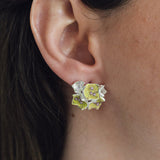 Aretes Galaxea Coral