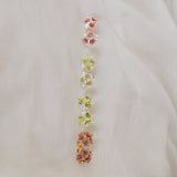 Aretes Galaxea Coral