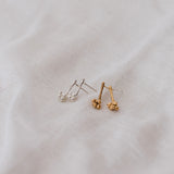 Aretes Racimos de Corozos