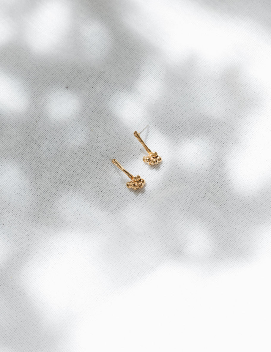 Aretes Racimos de Corozos