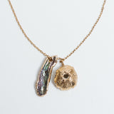 Collar Erizo Tornasol