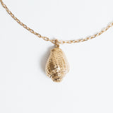 Brazalete Nuez Moscada