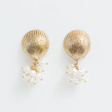 Aretes Florida Pacífico