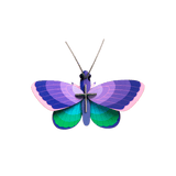 Pequeños insectos - Mariposa azul