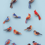 Pájaro de jardín - Gorriones