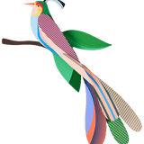 Pájaros del paraíso - Maya