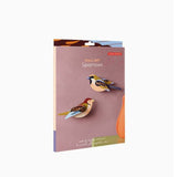 Pájaro de jardín - Gorriones