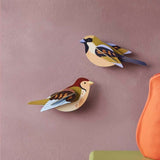 Pájaro de jardín - Gorriones