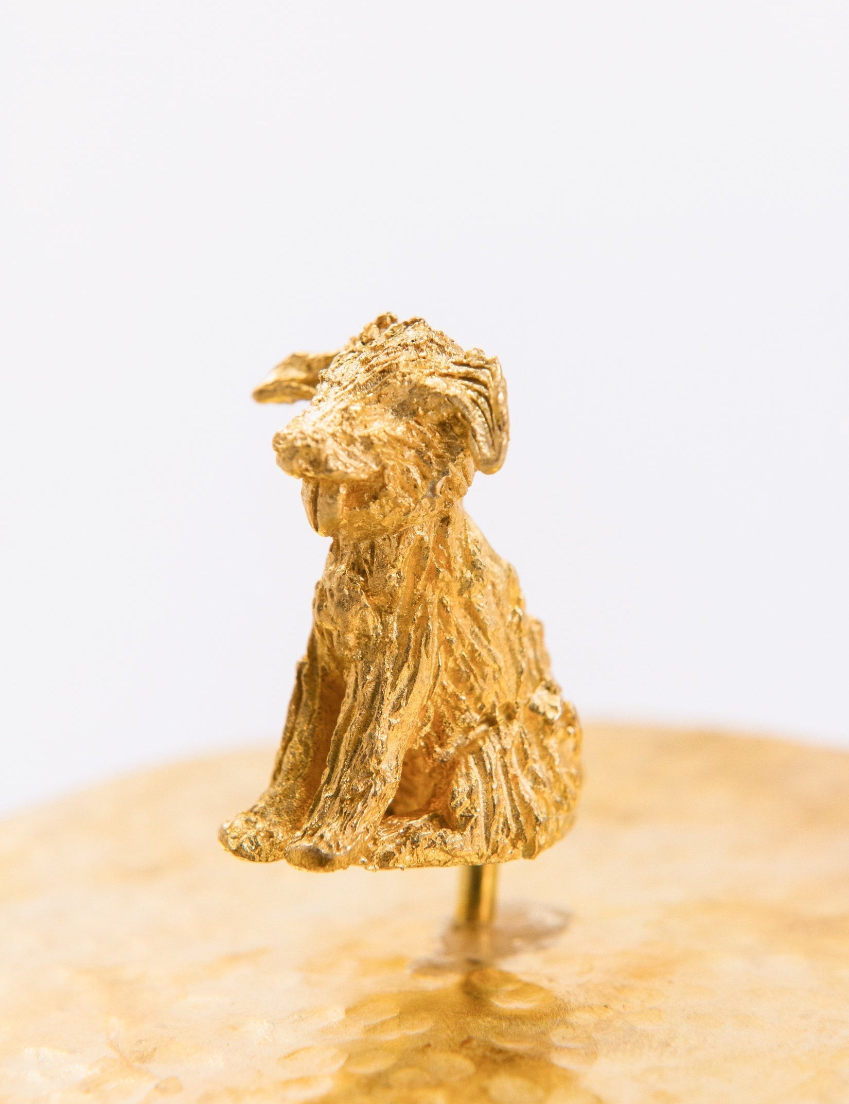 Escultura Perro peludo