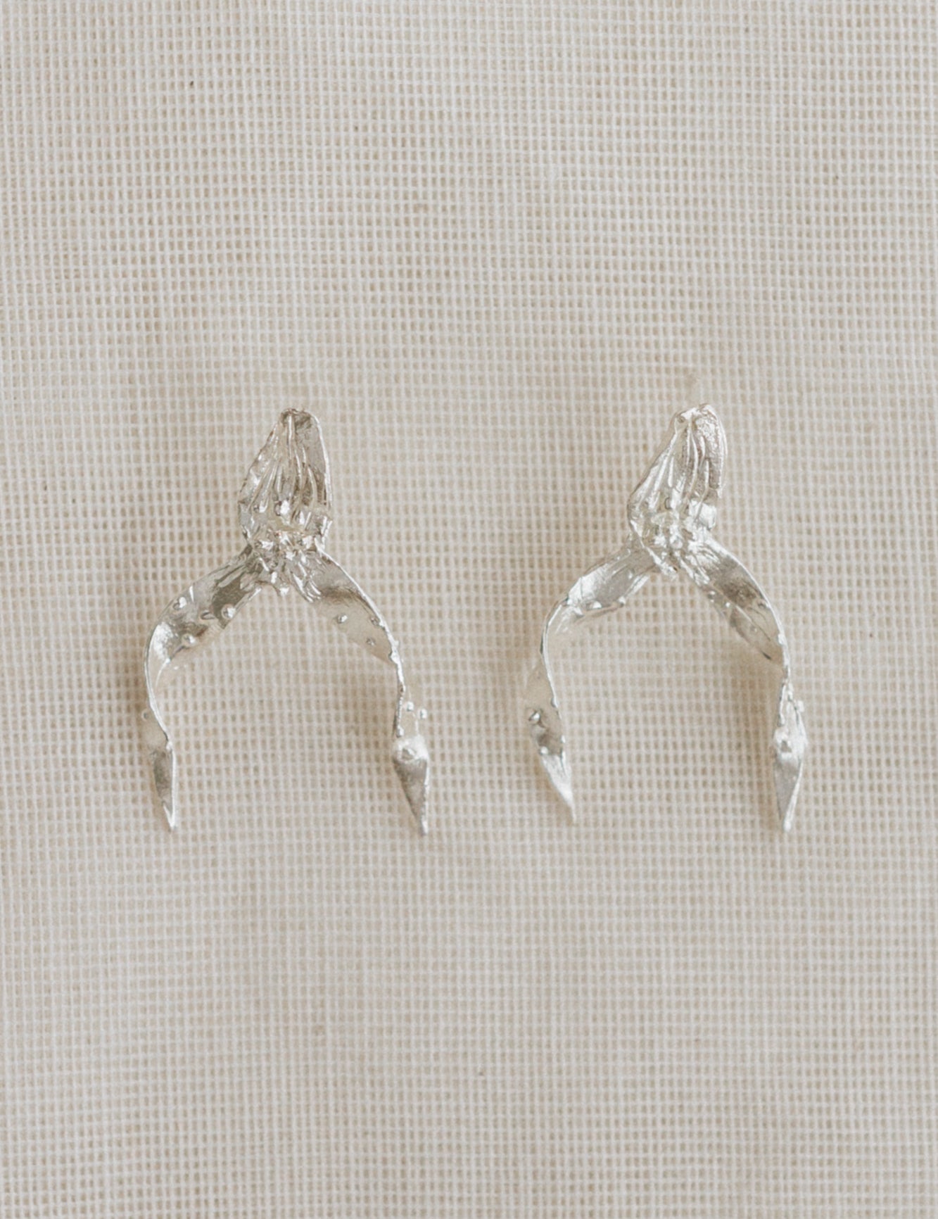 Aretes Brassia