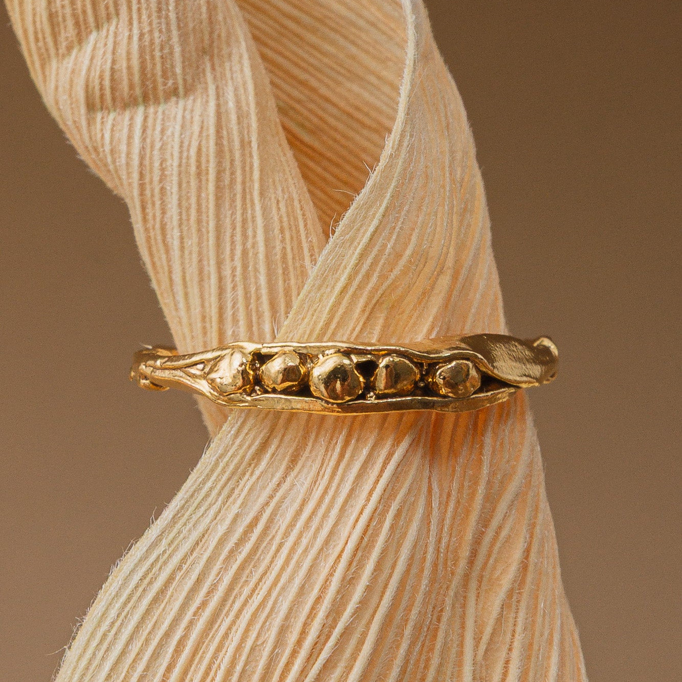 Anillo Coleccion