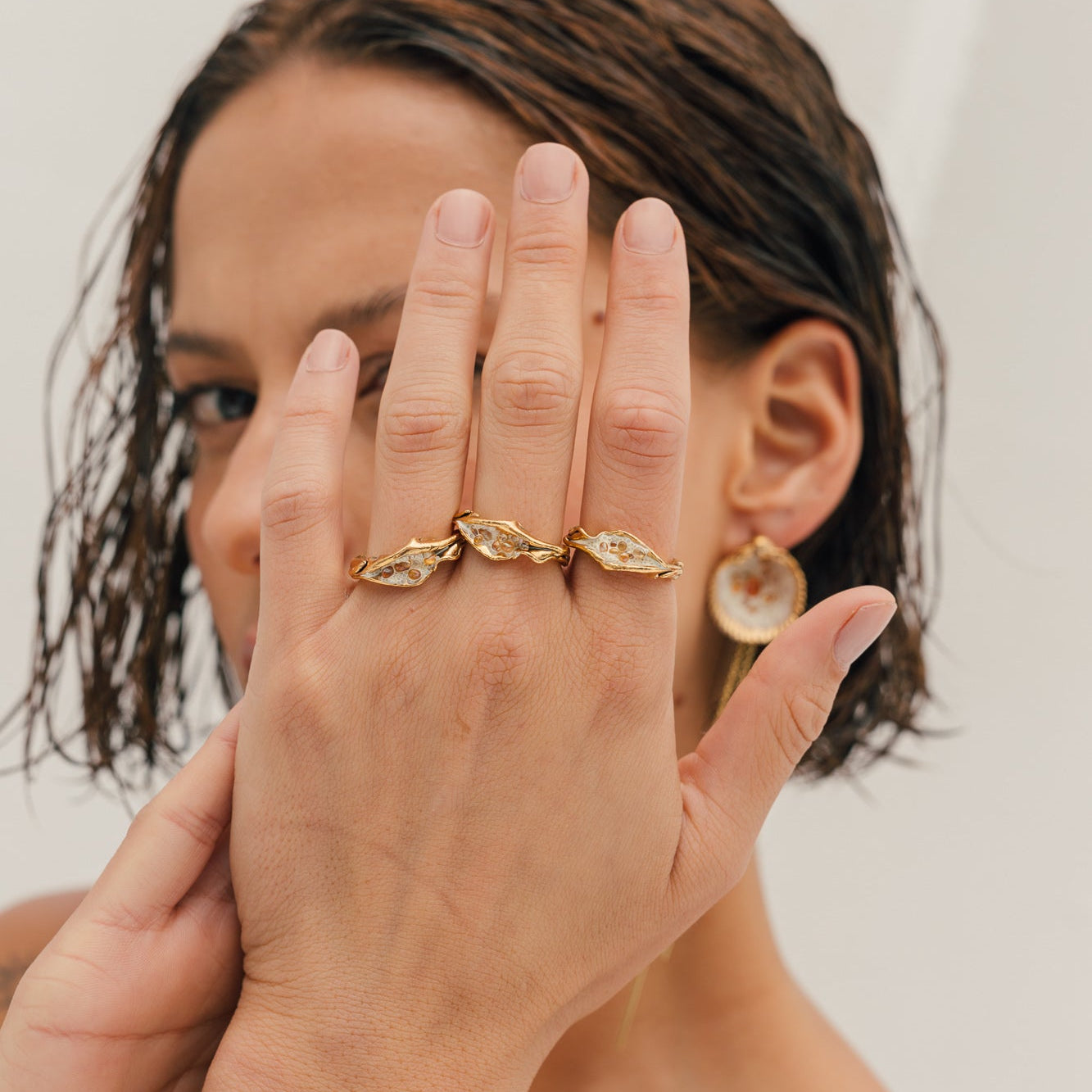 Anillo Coleccion