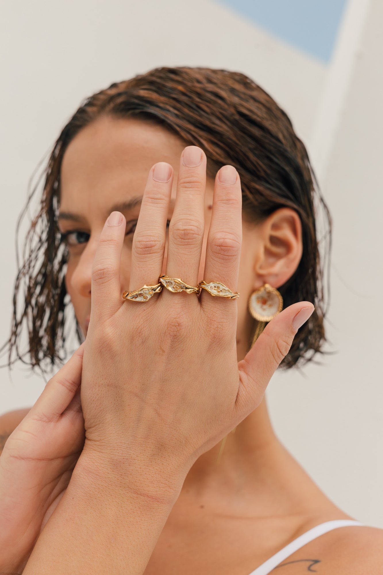 Anillo Coleccion