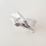Anillo Pliegue