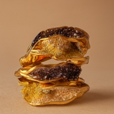 Anillo Sinuata