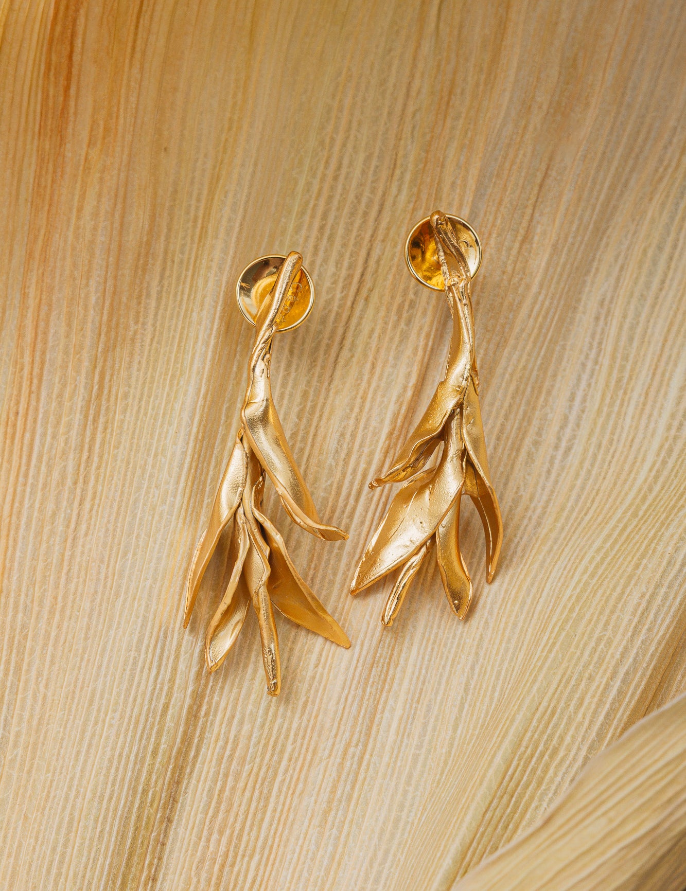 Aretes Aba Ancestral