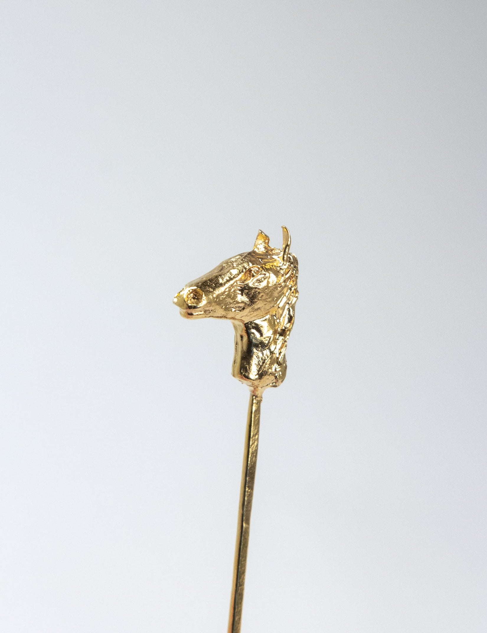 Pincho caballo