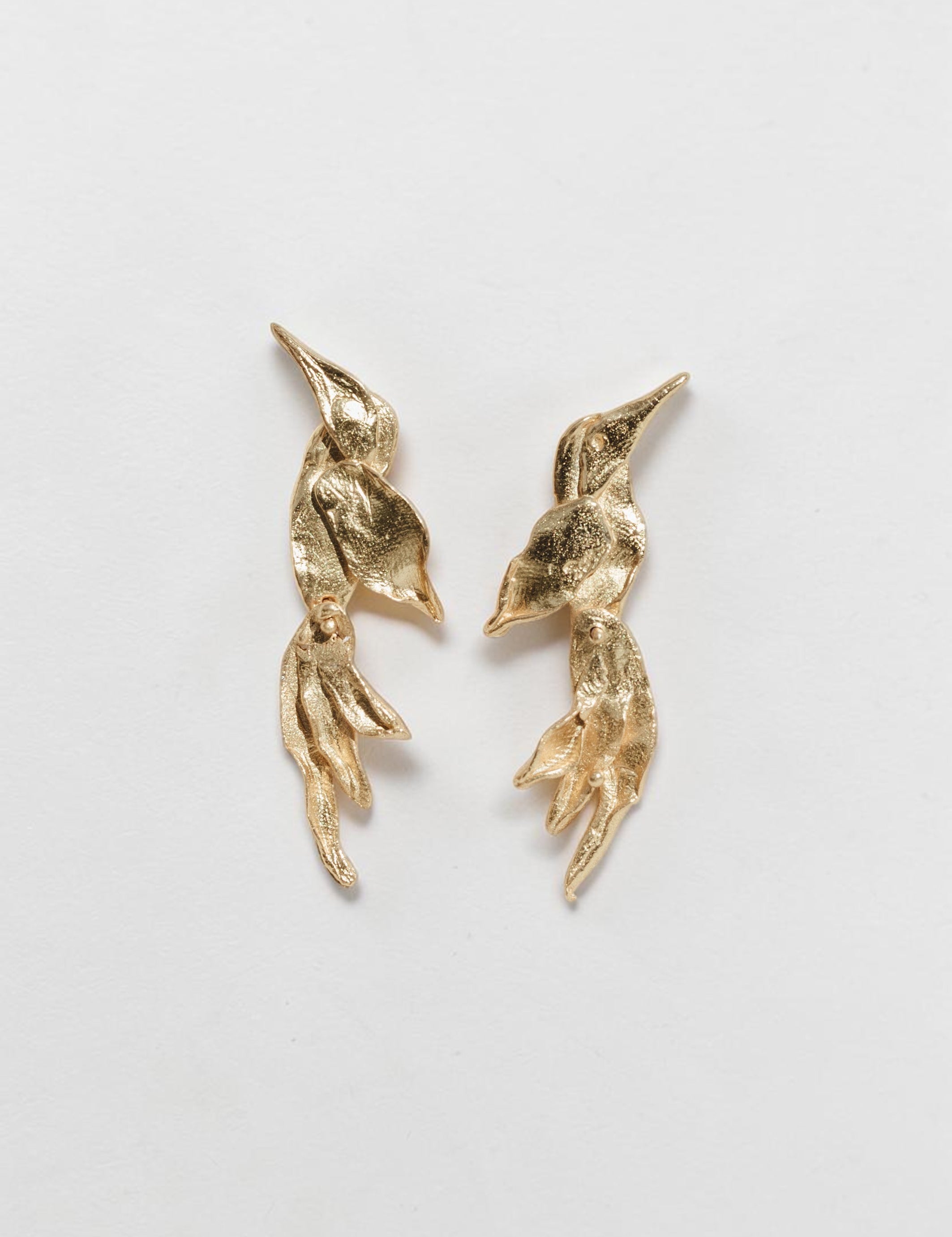 Aretes Colibrí