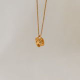 Collar Taza