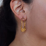 Aretes Caudal