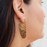 Aretes Pampa