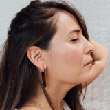 Aretes Pampa