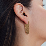 Aretes Pampa