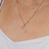 Collar Tijeras
