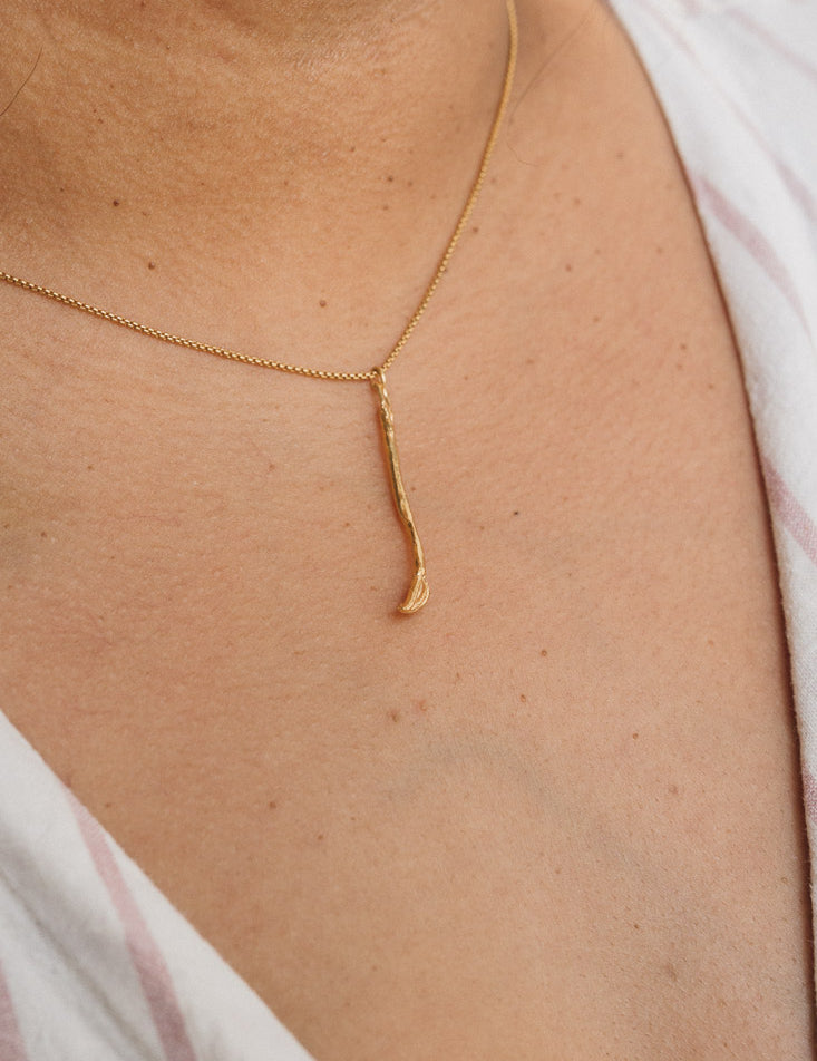 Collar Pincel