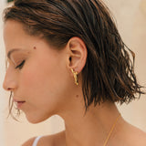 Aretes Coral
