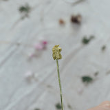 Pincho alpaca