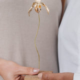 Escultura Orquídea Huanuco