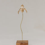 Escultura Orquídea Huanuco