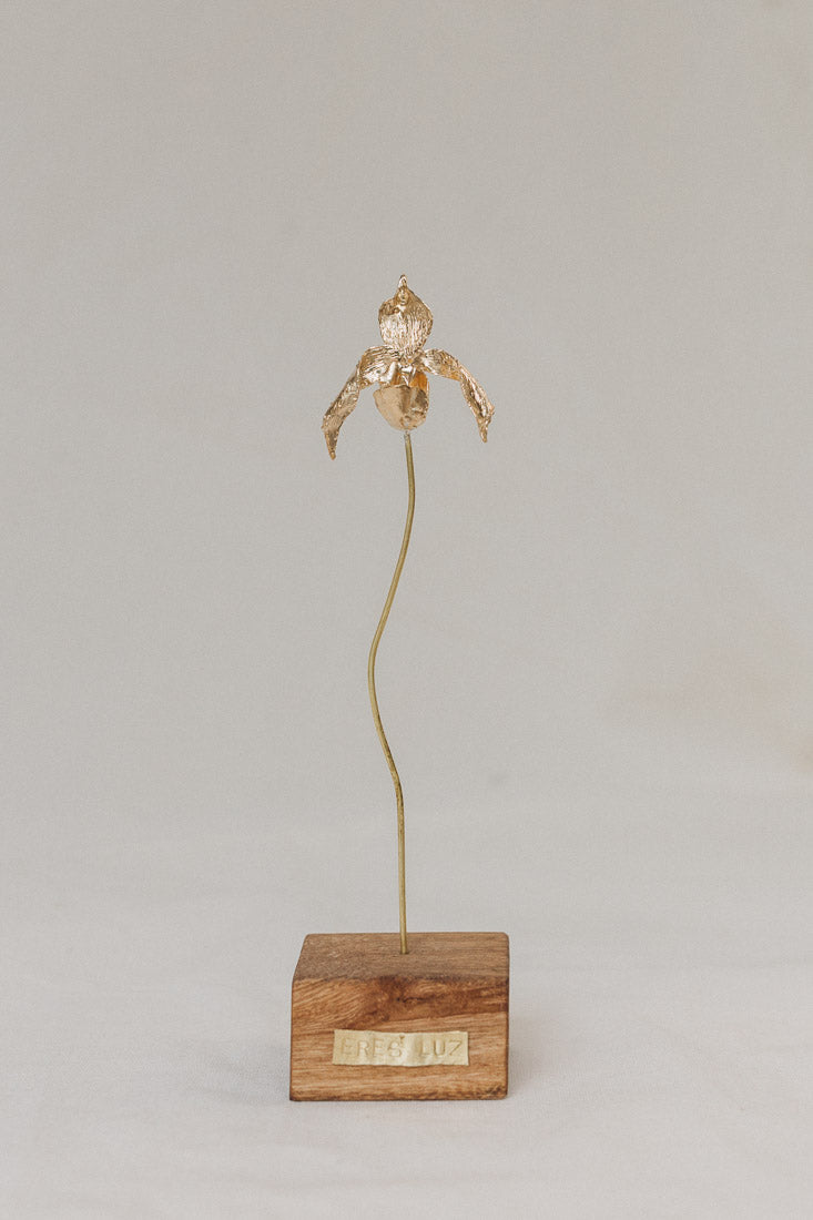 Escultura Orquídea Huanuco