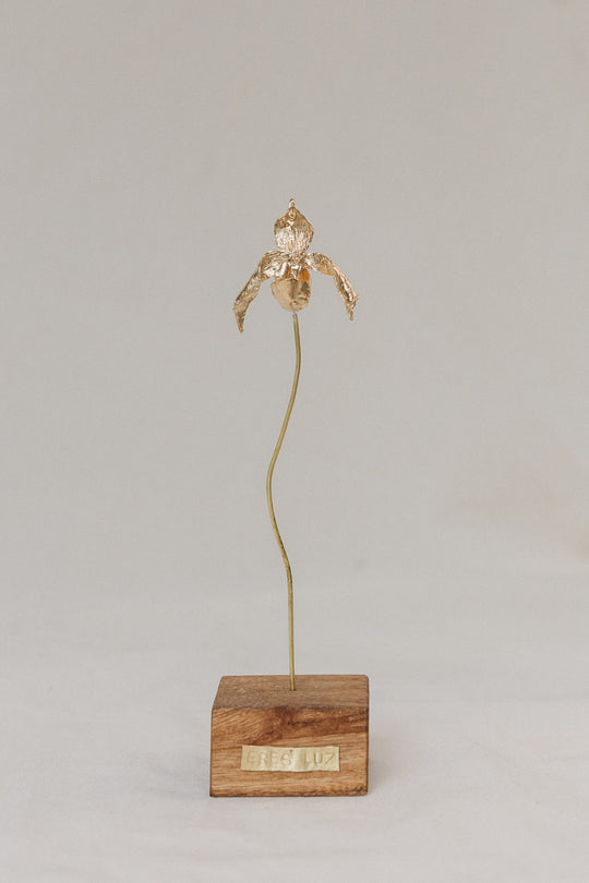 Escultura Orquídea Huanuco