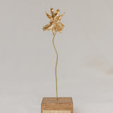 Escultura Orquídea Catleya
