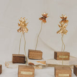 Escultura Orquídea Catleya
