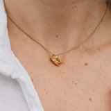 Collar Taza