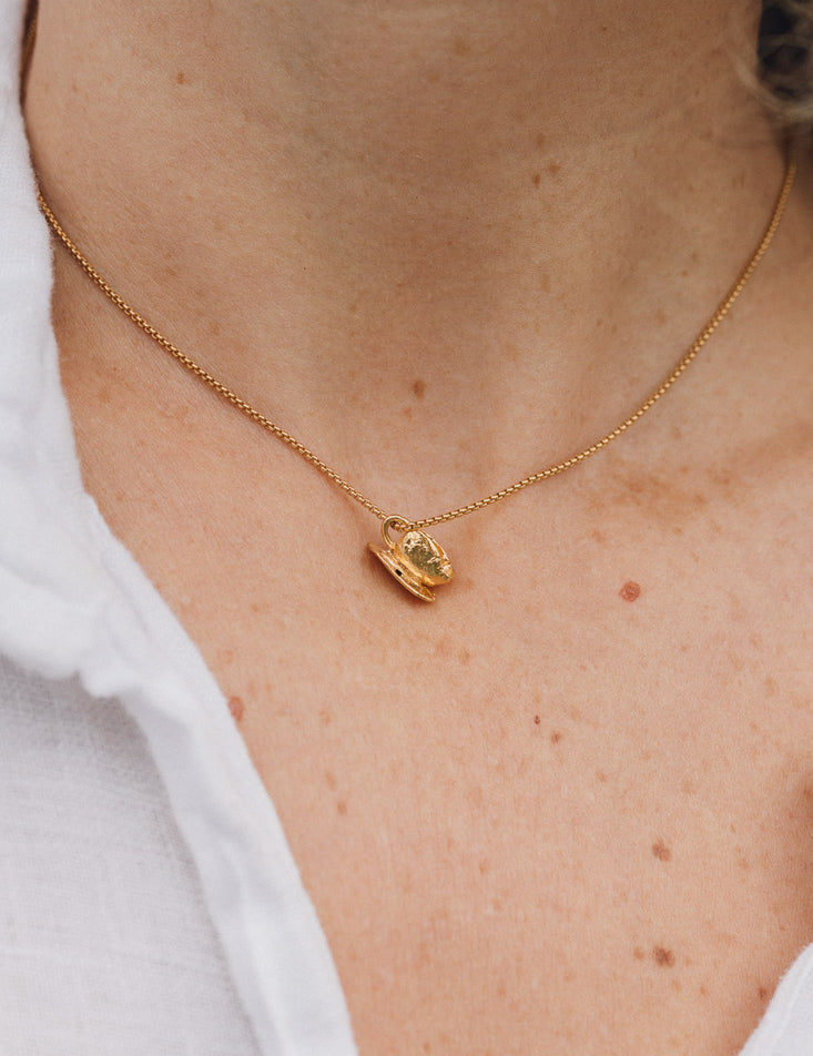 Collar Taza