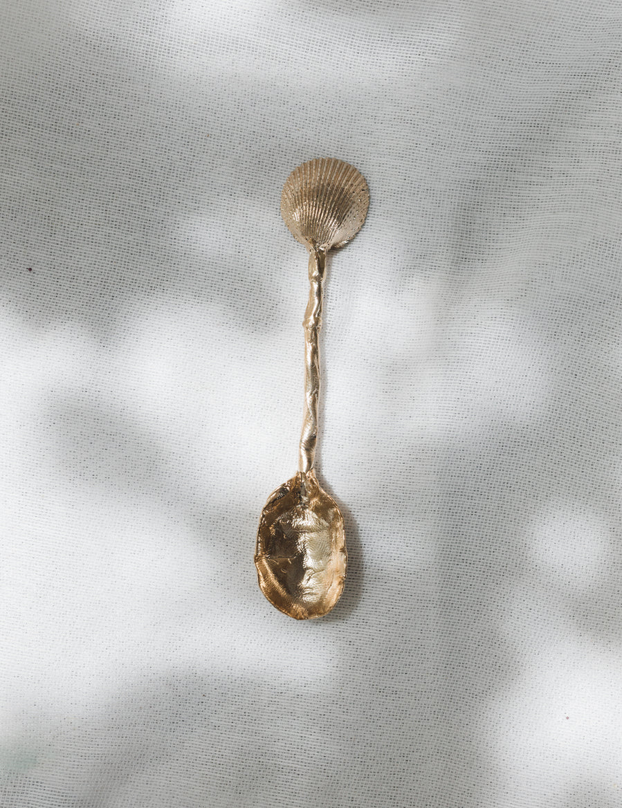 Utensilios Concha
